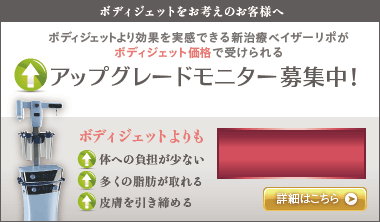 VASRER Lipo(ベイザーリポ)アップグレードモニター