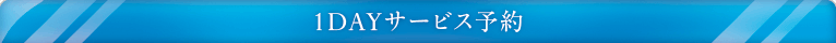 1DAYサービス