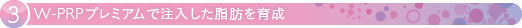 豊胸手術 W-PRPプレミアムで注入した脂肪を育成