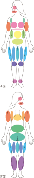 部位説明画像