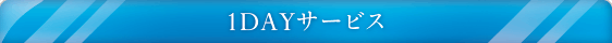 1DAYサービス