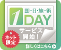 1DAYサービス