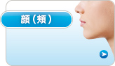 顔／頬