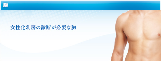 女性化乳房の診断が必要な胸