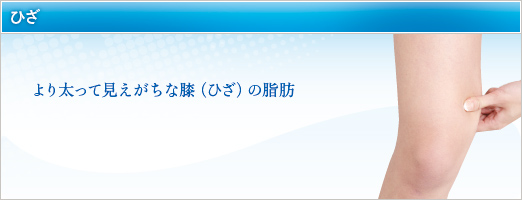 より太って見えがちな膝（ひざ）の脂肪