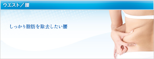 しっかり脂肪を除去したい腰