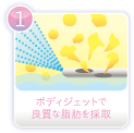 ボディジェットで良質な脂肪を採取