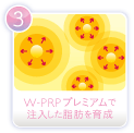 W-PRPプレミアムで注入した脂肪を育成