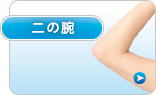 二の腕