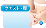 ウエスト／腰