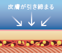 皮膚が引き締まる