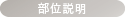 部位説明